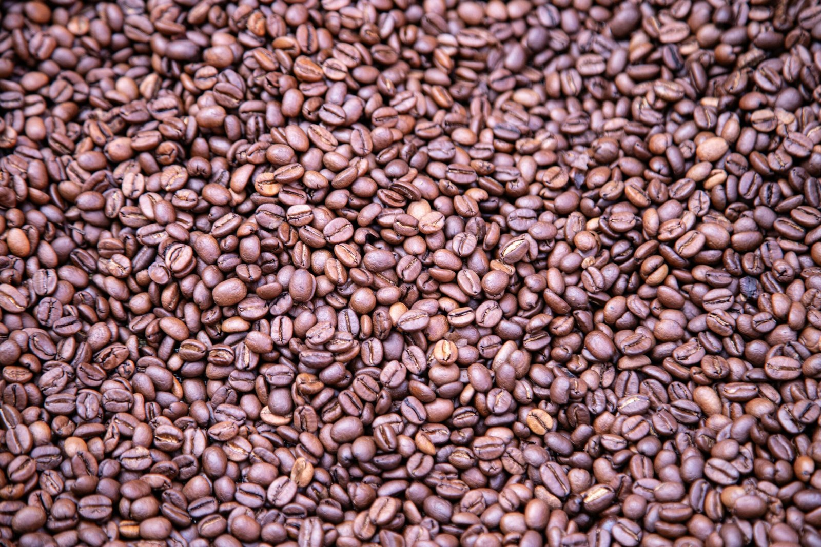 a pile of coffee beans is shown here